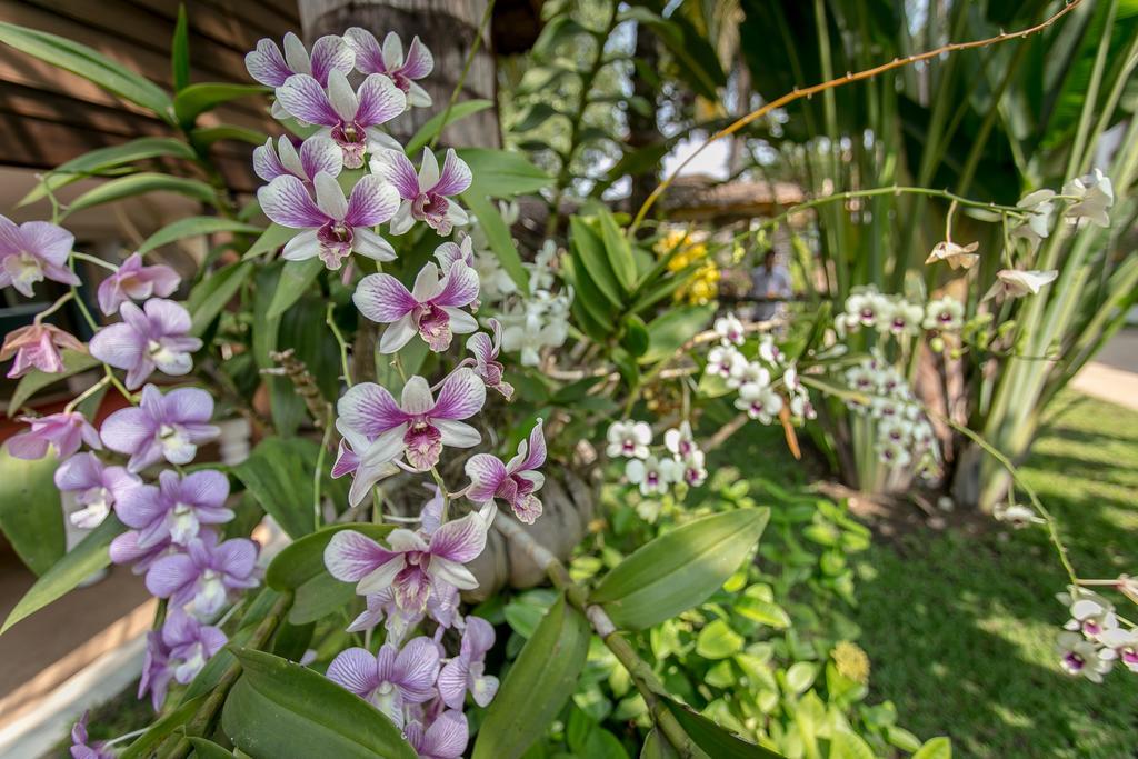 Apsara Suorkear Villa Siem Reap Eksteriør billede